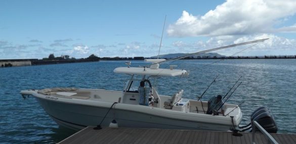 Морские экскурсии станут драйвером для развития туризма в Приморье