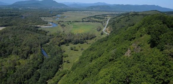 Заповедники Приморья:  куда отправиться туристам в 2017 году