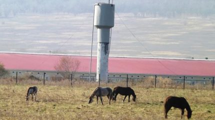 Перспективные пути развития ДВ-гектара в туристическом секторе