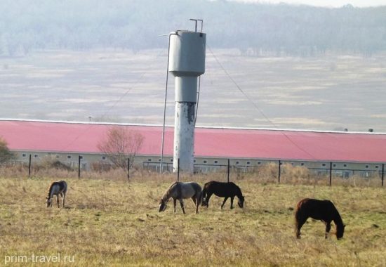 Перспективные пути развития ДВ-гектара в туристическом секторе