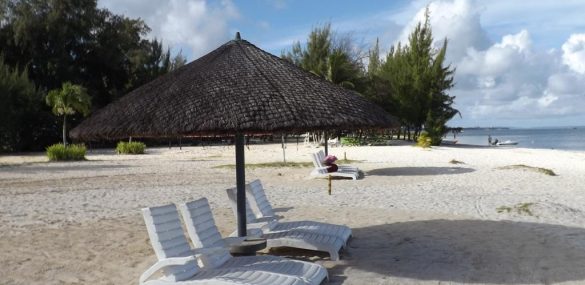 Топчаны и пляжные зонтики выходят на новый уровень