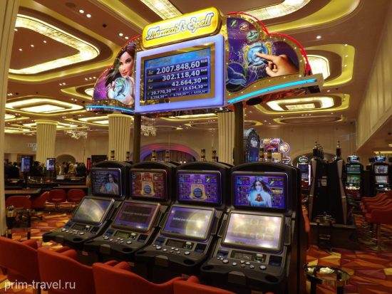 Инвесторы казино Tigre de Cristal в Приморье готовятся к расширению сферы деятельности