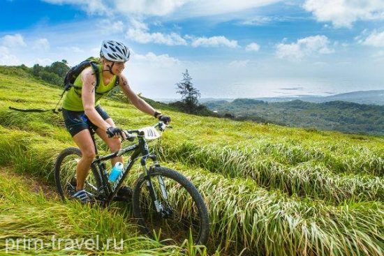 Сайпан бежит? Все бегут