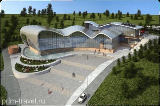 Китайские инвесторы решили вложиться в первый аквапарк Приморья