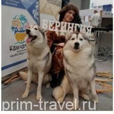 Камчатский край привлекает туристов вулканами, медведями, гейзерами