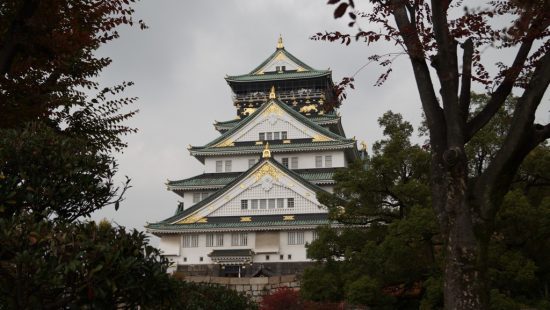 Из Владивостока начались полеты в Осаку