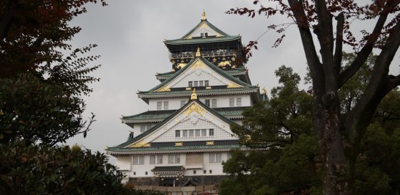 Из Владивостока начались полеты в Осаку