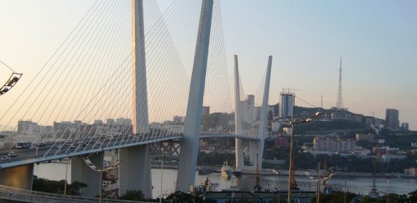 Упрощенный визовый режим при въезде через Владивосток коснется только 18 стран