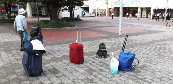 Поездки за границу опять в фаворе у жителей Приморья