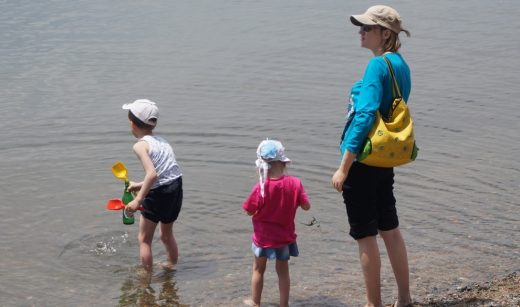 Организация детского отдыха в Приморье – желающих много, но не всем это разрешено