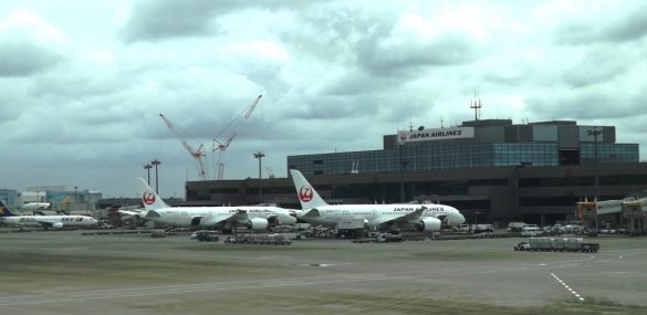 Japan Airlines организовывает вывозные рейсы между Токио и Владивостоком