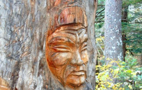 Фестиваль тайги Taigafest – до встречи через год