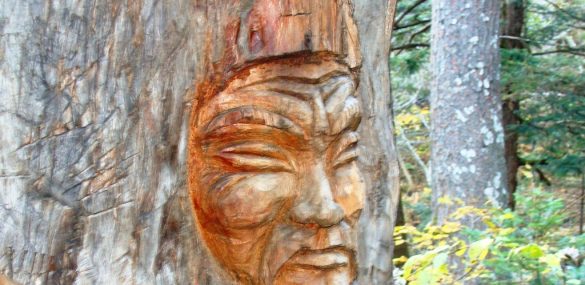 Фестиваль тайги во Владивостоке или чего ожидать жителям и гостям города