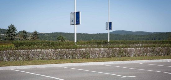 Туристические автобусы губят растения на территории Приморского океанариума