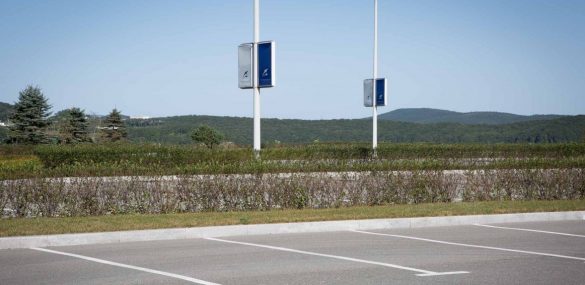 Туристические автобусы губят растения на территории Приморского океанариума