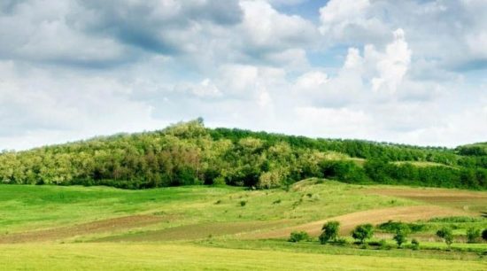 Турбизнес Камчатки поддержат субсидиями при оформлении ДВ-гектара