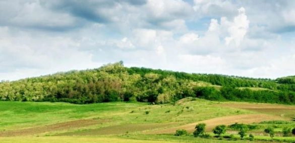 Турбизнес Камчатки поддержат субсидиями при оформлении ДВ-гектара