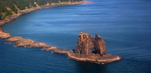 Въездной туризм уже принёс Хабаровску 160 млн. рублей в виде налогов