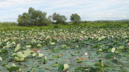 Из Хасанского района готовы сделать туристическую Мекку