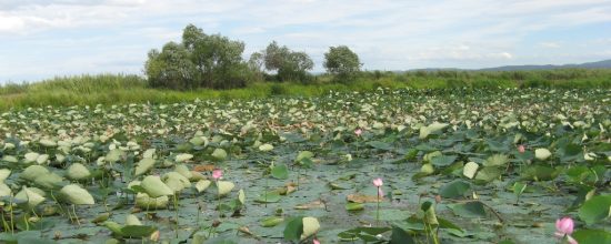 Из Хасанского района готовы сделать туристическую Мекку