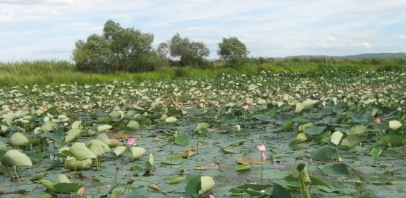 Приморье и Камчатка ведут борьбу за лидерство среди лучших мест отдыха в России