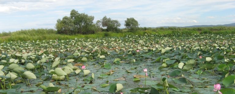 Приморье и Камчатка ведут борьбу за лидерство среди лучших мест отдыха в России