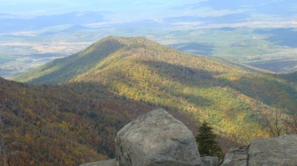 Экосбор и выявление темного бизнеса сохранит объекты природы в Приморье