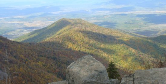 Экосбор и выявление темного бизнеса сохранит объекты природы в Приморье