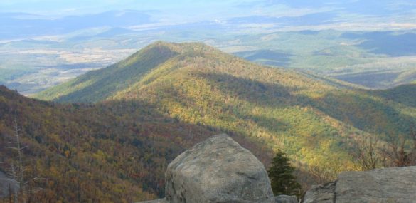 Экосбор и выявление темного бизнеса сохранит объекты природы в Приморье