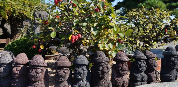 Остров Чеджу: нужна ли спешка для восстановления туротрасли