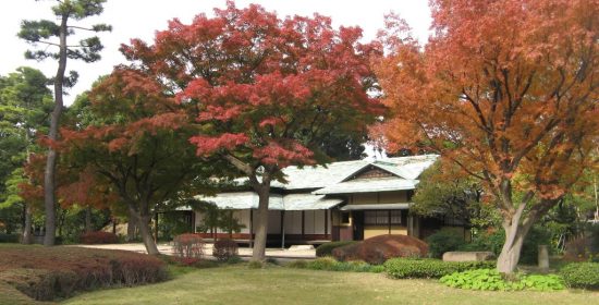 Атмосферу осенних праздников Японии создадут во Владивостоке