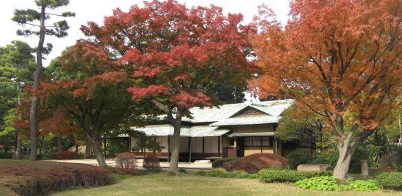 Атмосферу осенних праздников Японии создадут во Владивостоке