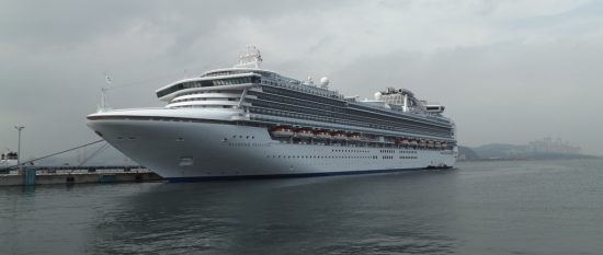 Приморье в составе Экспертной рабочей группы по развитию круизного бизнеса в АТР