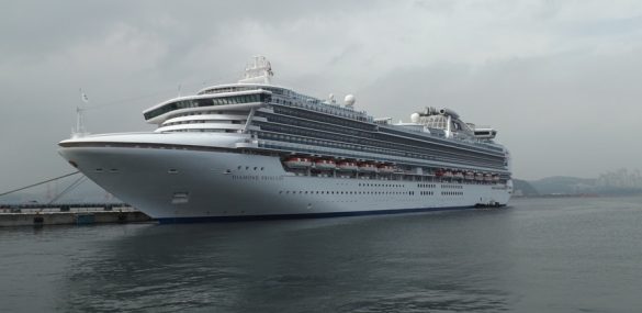 Приморье в составе Экспертной рабочей группы по развитию круизного бизнеса в АТР