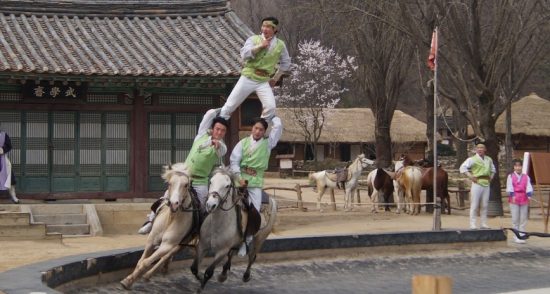 Международный цирковой фестиваль может пройти в Приморье