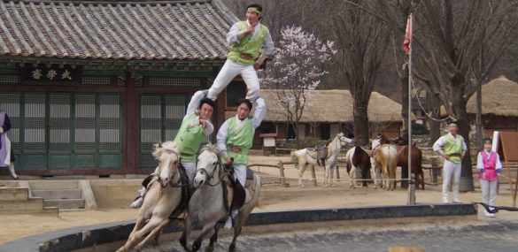 Международный цирковой фестиваль может пройти в Приморье