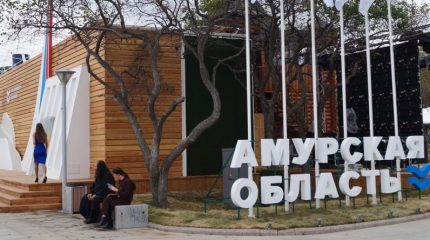 Северная тайга и грибы мацутакэ: Амурская область готовится к JATA