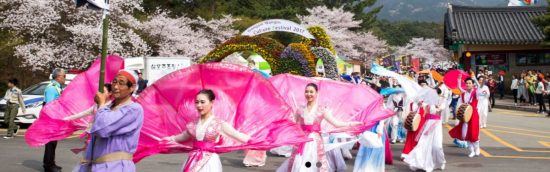 Южная Корея ждет приморских туристов на весенние фестивали