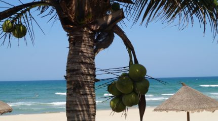 Филиппины предложили приморцам сменить место отдыха