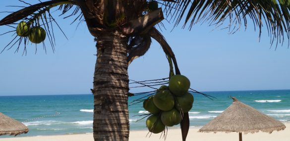 Филиппины предложили приморцам сменить место отдыха