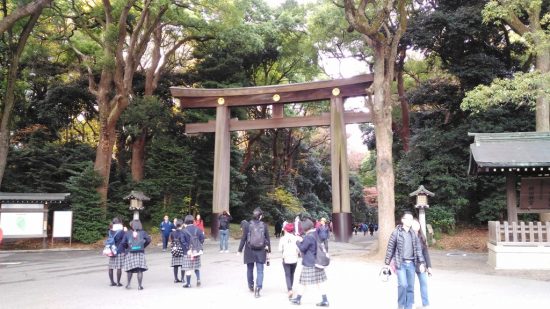 Число российских туристов, посетивших Японию в январе, увеличилось на треть