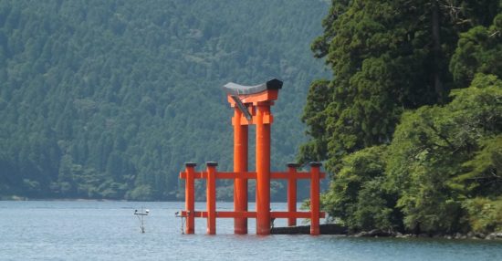 Из Хабаровска станет больше рейсов в Японию. Но ближе к зиме