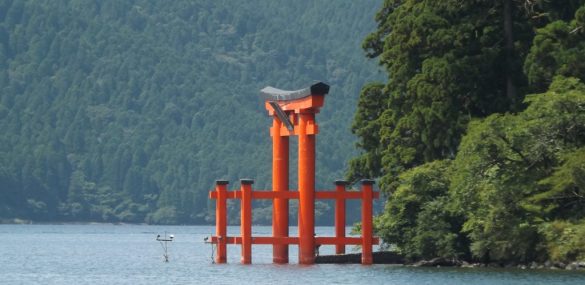 Из Хабаровска станет больше рейсов в Японию. Но ближе к зиме