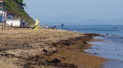 Бизнесу отдых дальневосточников – по «барабану»: мест отдыха все меньше и меньше
