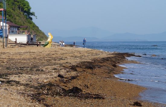 Почти 80 пляжей откроют для купания в Приморье этим летом