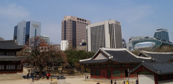 Турбизнес Приморья отправился за новыми партнёрами и туристами в Республику Корея