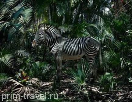 Фотоработы Саймона Йохана во Владивостоке – пора подумать об окружающем мире