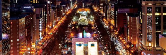 «Уральские авиалинии» готовятся запустить рейс из Владивостока на Хоккайдо