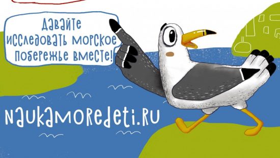 В Приморье вновь стартует межмузейный маршрут