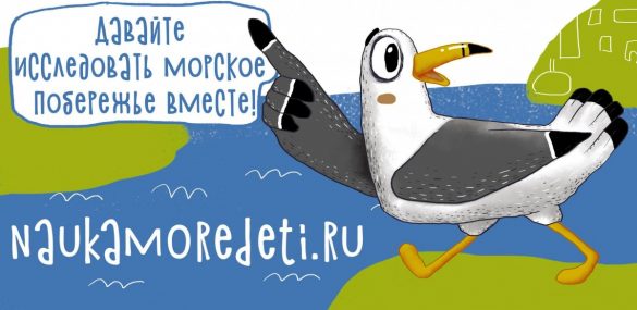 В Приморье вновь стартует межмузейный маршрут